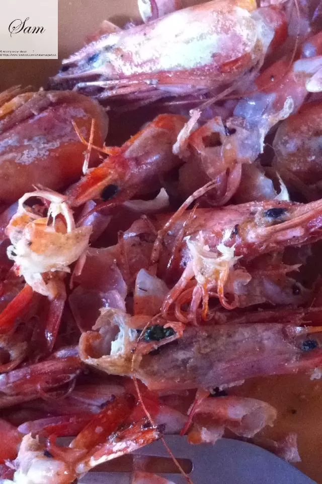 Photo of Diu, Daman and Diu, India by Shambavi Ganju