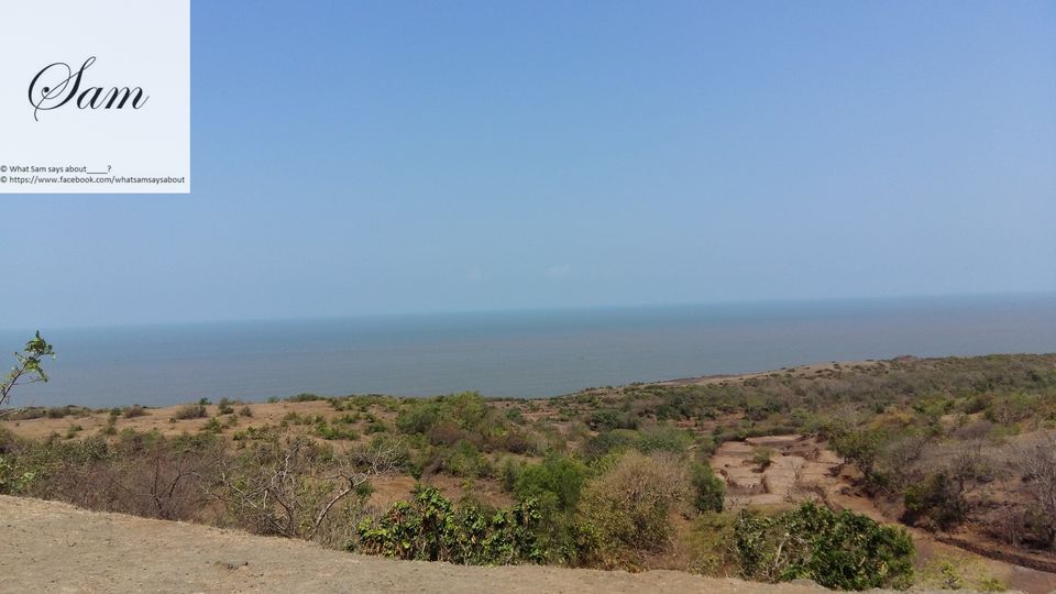 Photo of A Surprise Package awaits you in Diveagar and Harihareshwar, Maharashtra 40/59 by Shambavi Ganju