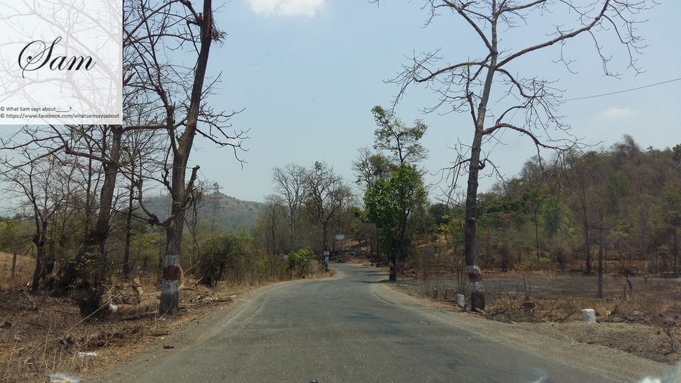 Photo of A Surprise Package awaits you in Diveagar and Harihareshwar, Maharashtra 57/59 by Shambavi Ganju