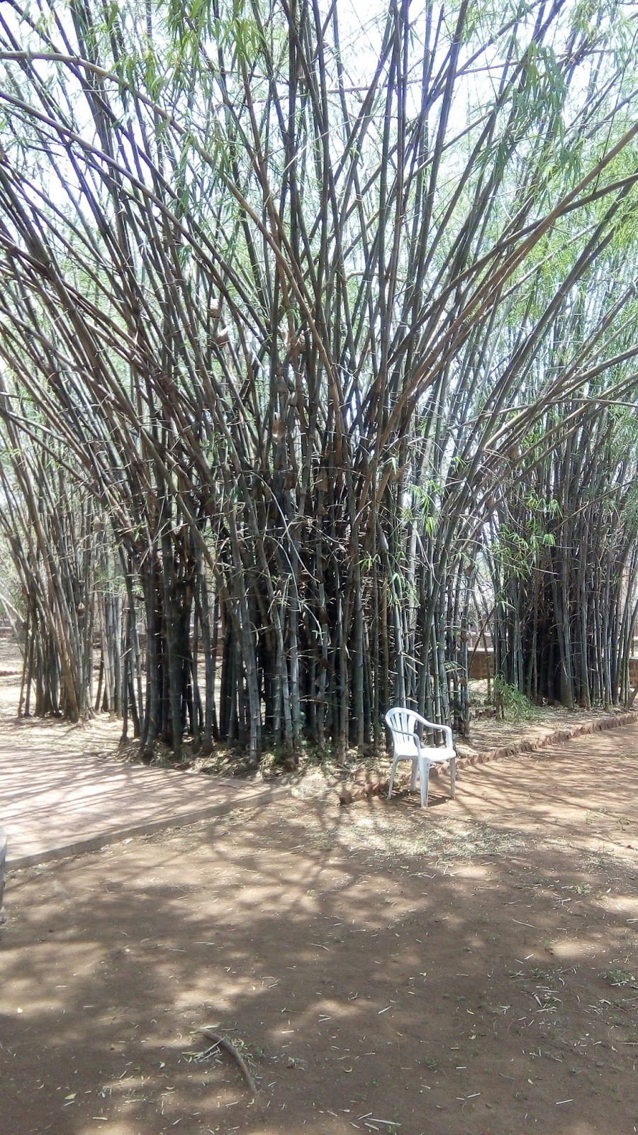 Photo of पुरेपूर कोल्हापूर 6/14 by Varun