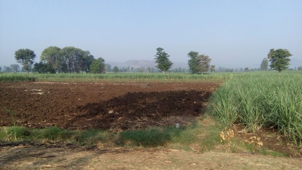Photo of पुरेपूर कोल्हापूर 14/14 by Varun