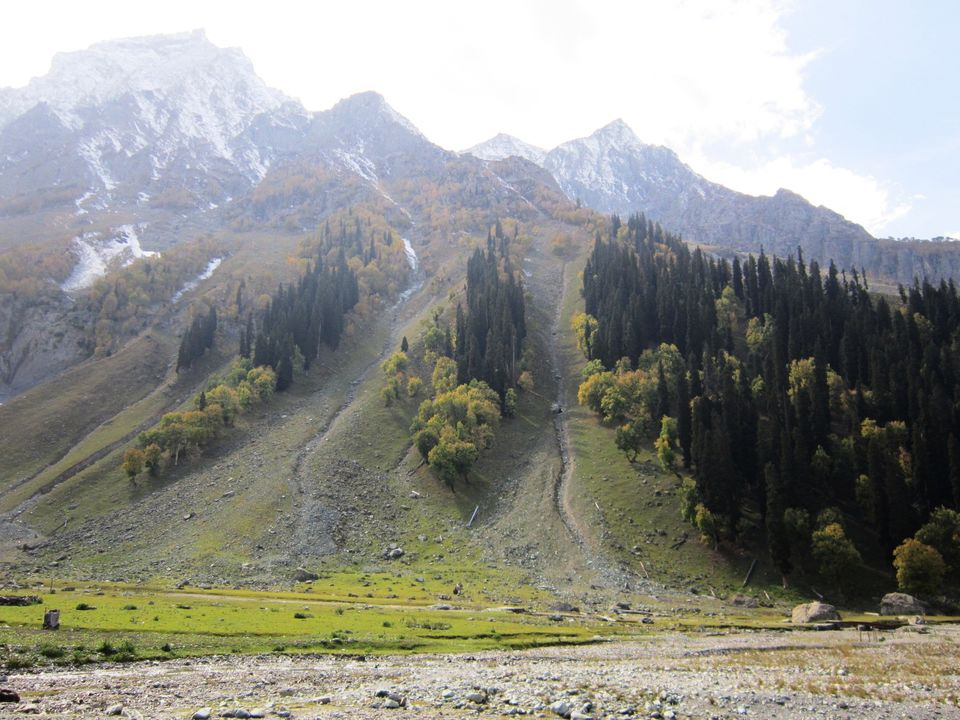 Photo of Kashmir: A dream come true 9/43 by Jiten Kardam