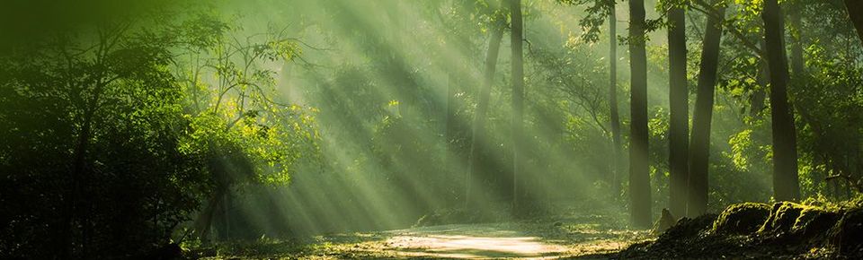 Photo of Mystical Uttarakhand 3/11 by Kunal Bhatia