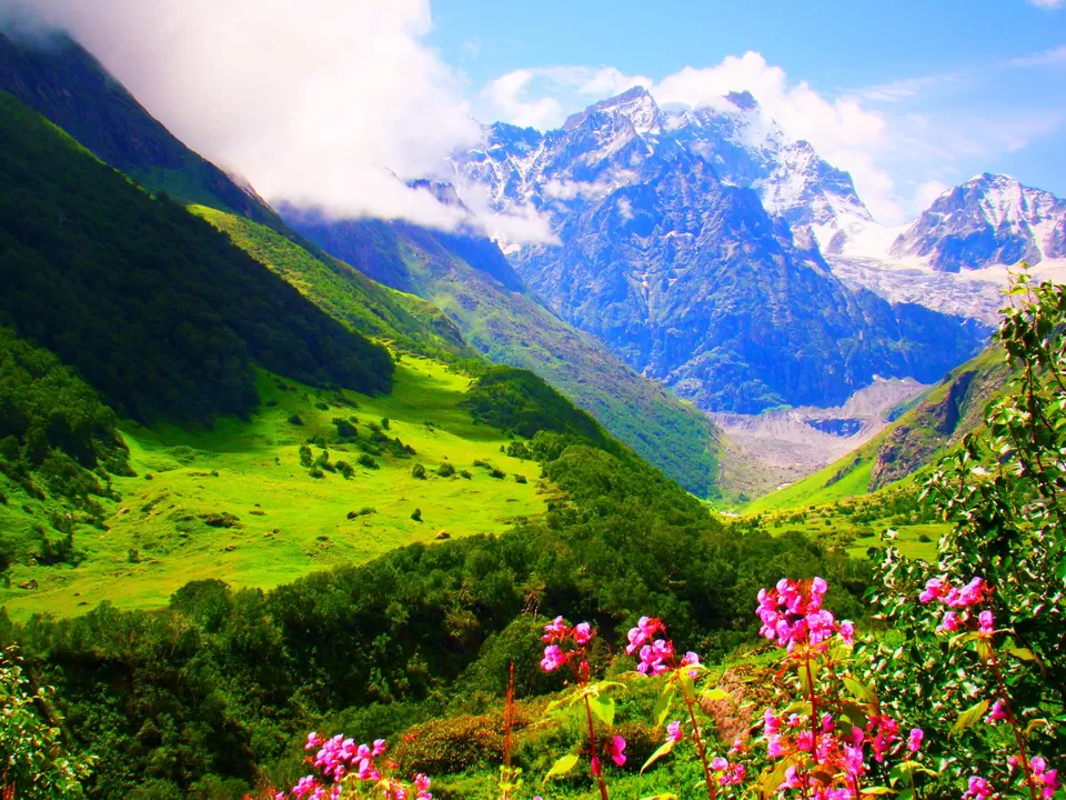 Photo of Valley Of Flowers by Kunal Bhatia