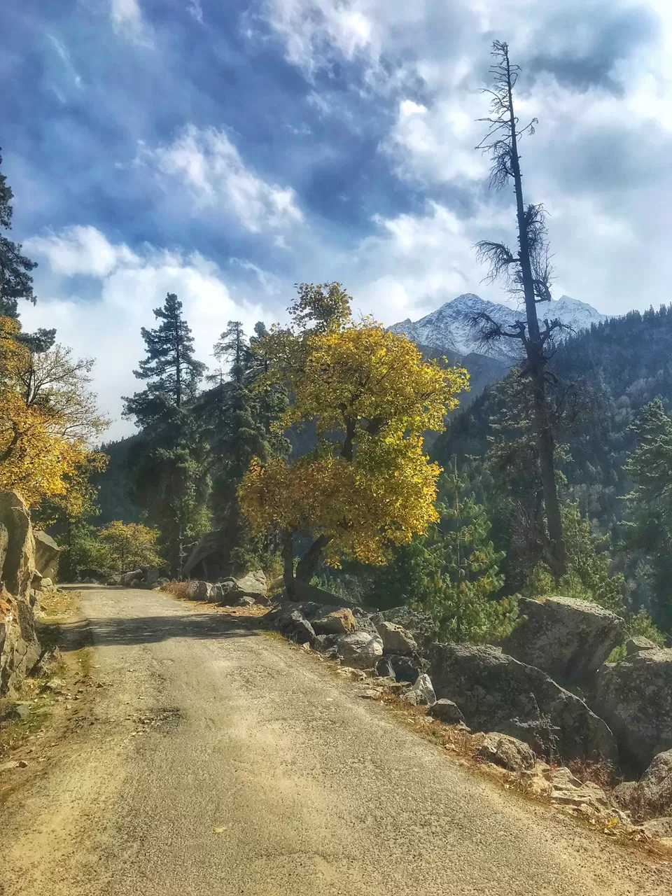 Photo of Kinnaur, Himachal Pradesh, India by aashish garg