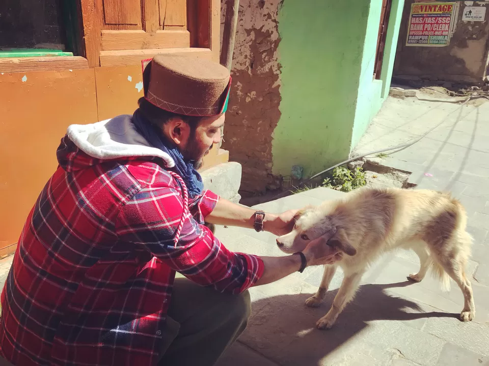 Photo of Kalpa by aashish garg