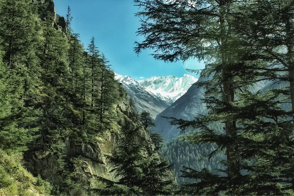 Photo of Chitkul by aashish garg