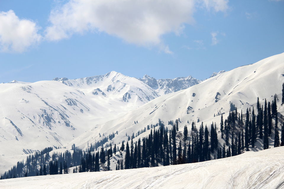 Photo of Kashmir: Gateway to Heaven 8/10 by aashish garg