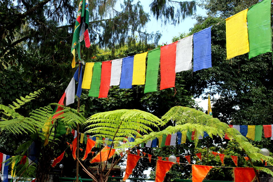 Photo of Sikkim: Wandering in the land of Buddha 3/13 by aashish garg
