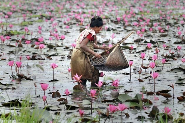 Photo of In the realm of India's black magic capital – Mayong 3/10 by Seema