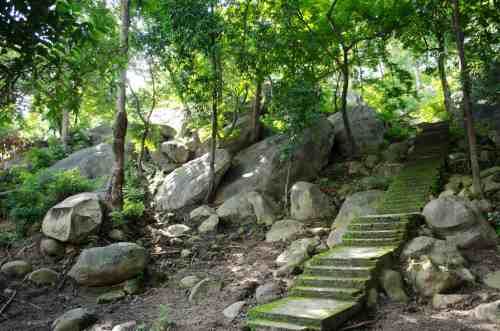 Photo of In the realm of India's black magic capital – Mayong 10/10 by Seema