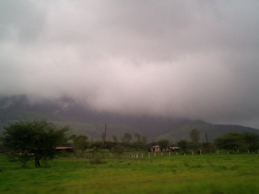 Photo of Darjeeling in Himachal Pradesh: Palampur by Naresh Tomar
