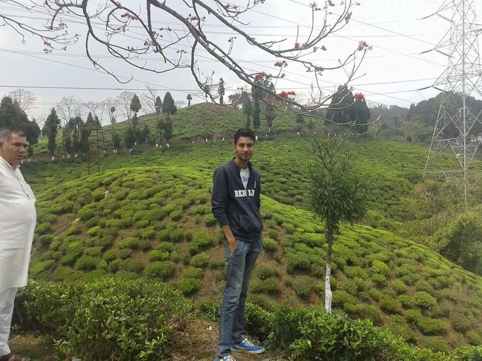Photo of Darjeeling in Himachal Pradesh: Palampur by Naresh Tomar