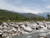 Photo of Darjeeling in Himachal Pradesh: Palampur 2/2 by Naresh Tomar