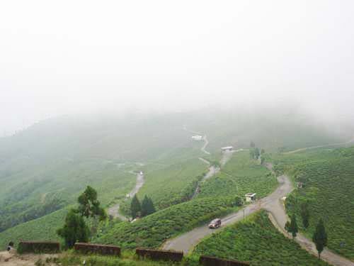Photo of The Magic of Darjeeling 14/23 by Naresh Tomar