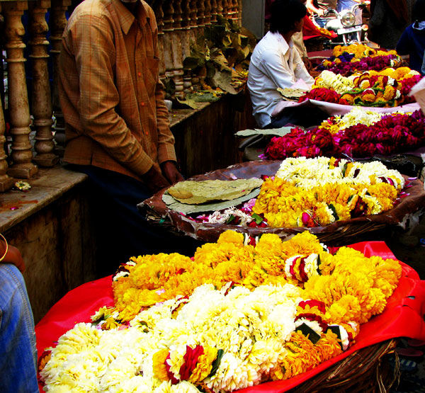 Photo of Krishna ka Van : Vrindavan 7/22 by Naresh Tomar