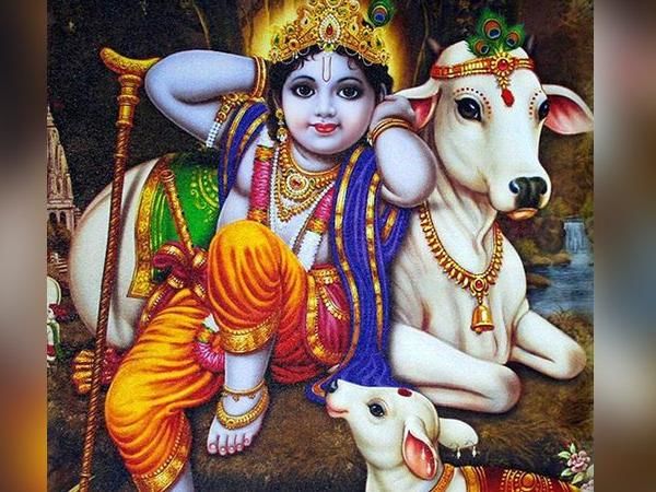 Photo of Krishna ka Van : Vrindavan by Naresh Tomar