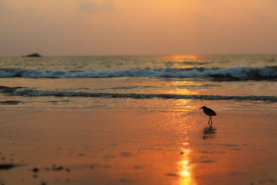 Photo of Kya karna in Gokarna? by Radhika Roy