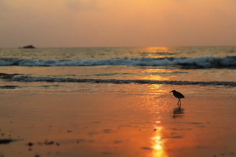 Photo of Kudle Beach View Resort & Spa, Gokarna, Karnataka, India by Radhika Roy