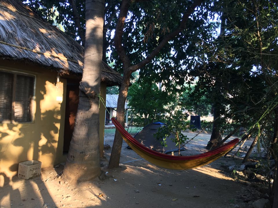 Photo of The Goan Corner, Bellary, Karnataka, India by Radhika Roy