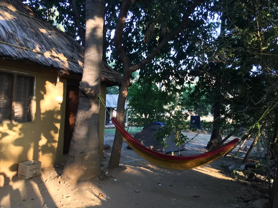 Photo of The Goan Corner, Bellary, Karnataka, India by Radhika Roy