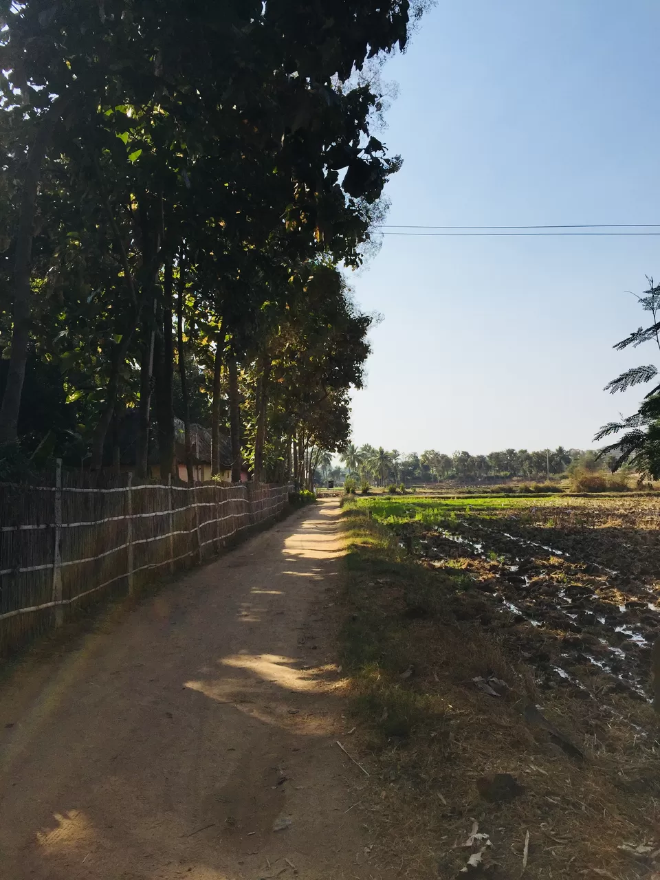 Photo of The Goan Corner, Bellary, Karnataka, India by Radhika Roy
