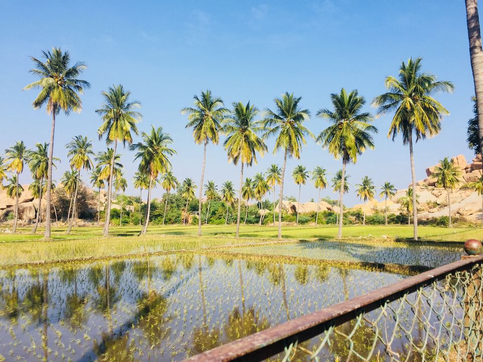 Photo of Hampi is Bumpi by Radhika Roy