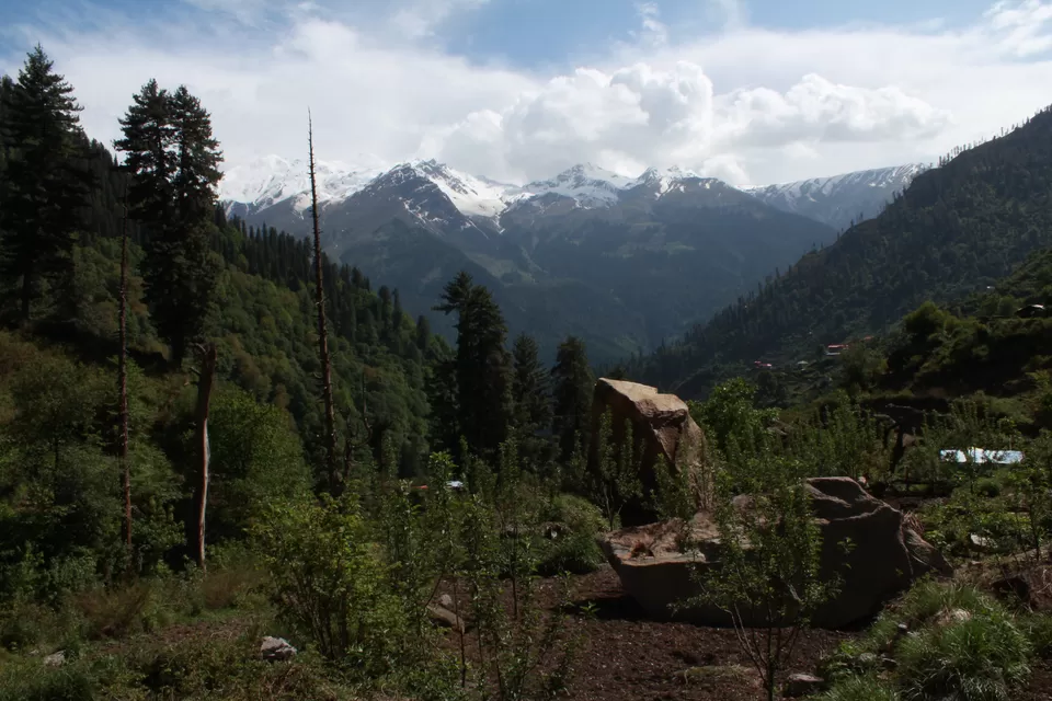 Photo of Tosh, Himachal Pradesh, India by Radhika Roy