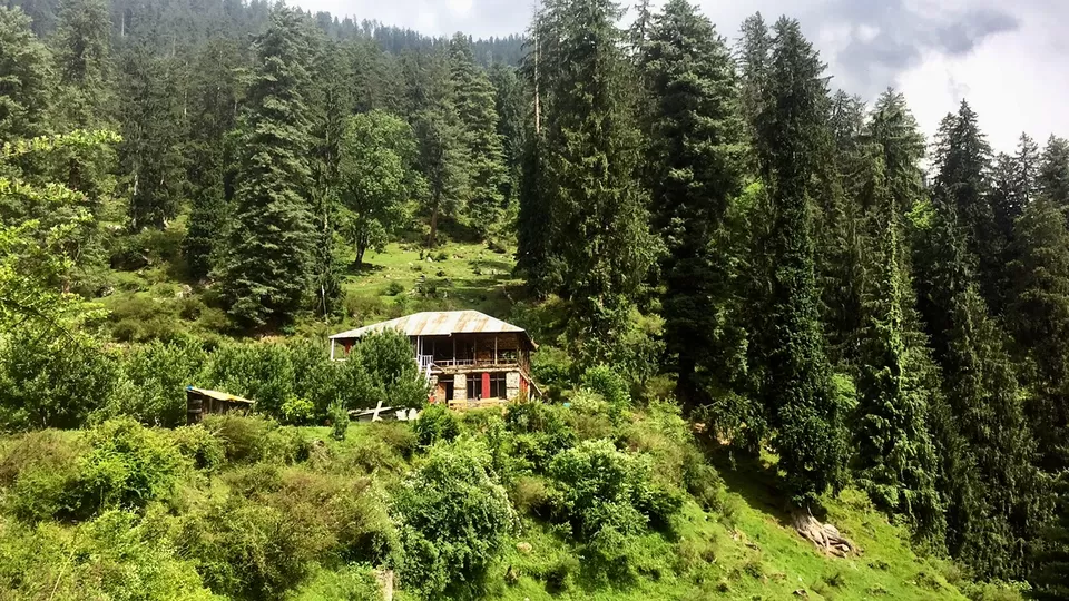 Photo of Tosh, Himachal Pradesh, India by Radhika Roy