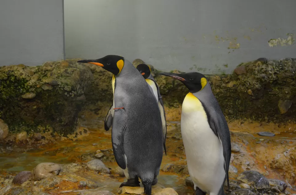 Photo of Basel Zoo, Basel, Switzerland by Vinay8484