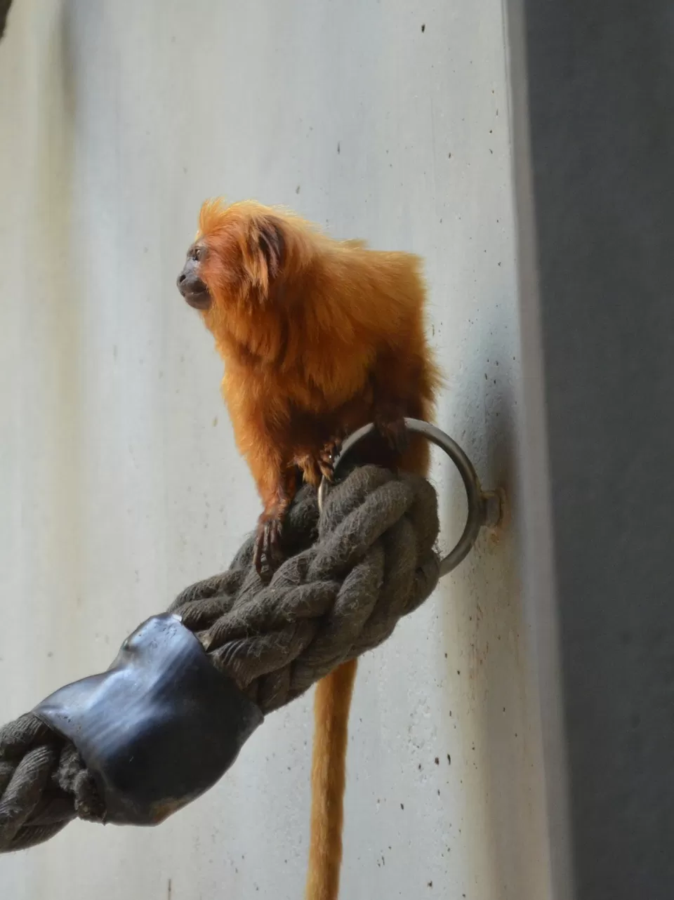 Photo of Zoo Basel, Binningerstrasse 40, 4054 Basel, Switzerland by Vinay8484