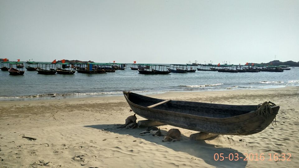 Photo of Sairat visit to Malvan! (In less than 36 Hrs) by Rohit Ghodke