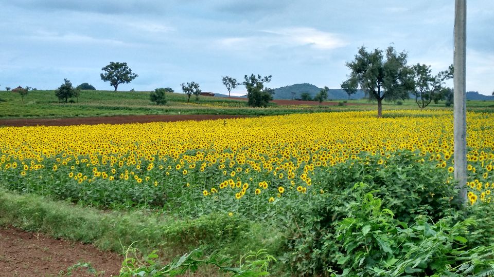 Photo of Ride to Hampi... 112/116 by Rohit Ghodke