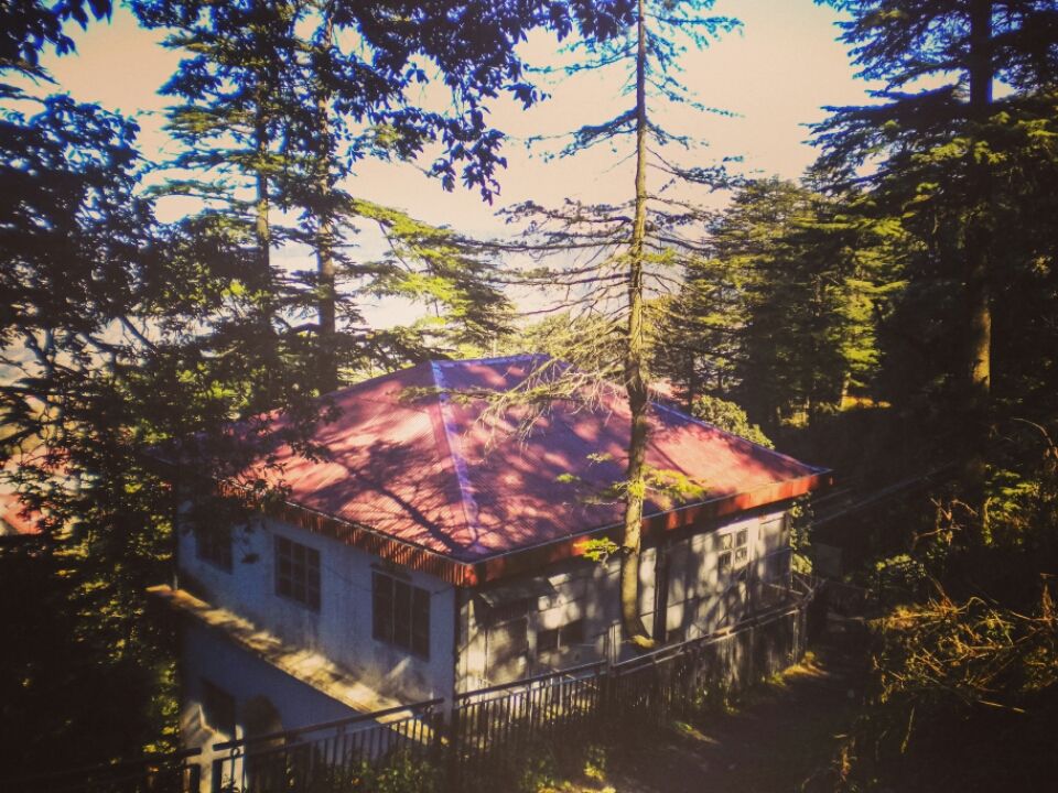 Photo of Shimla, Himachal Pradesh, India by Richa Gandhi