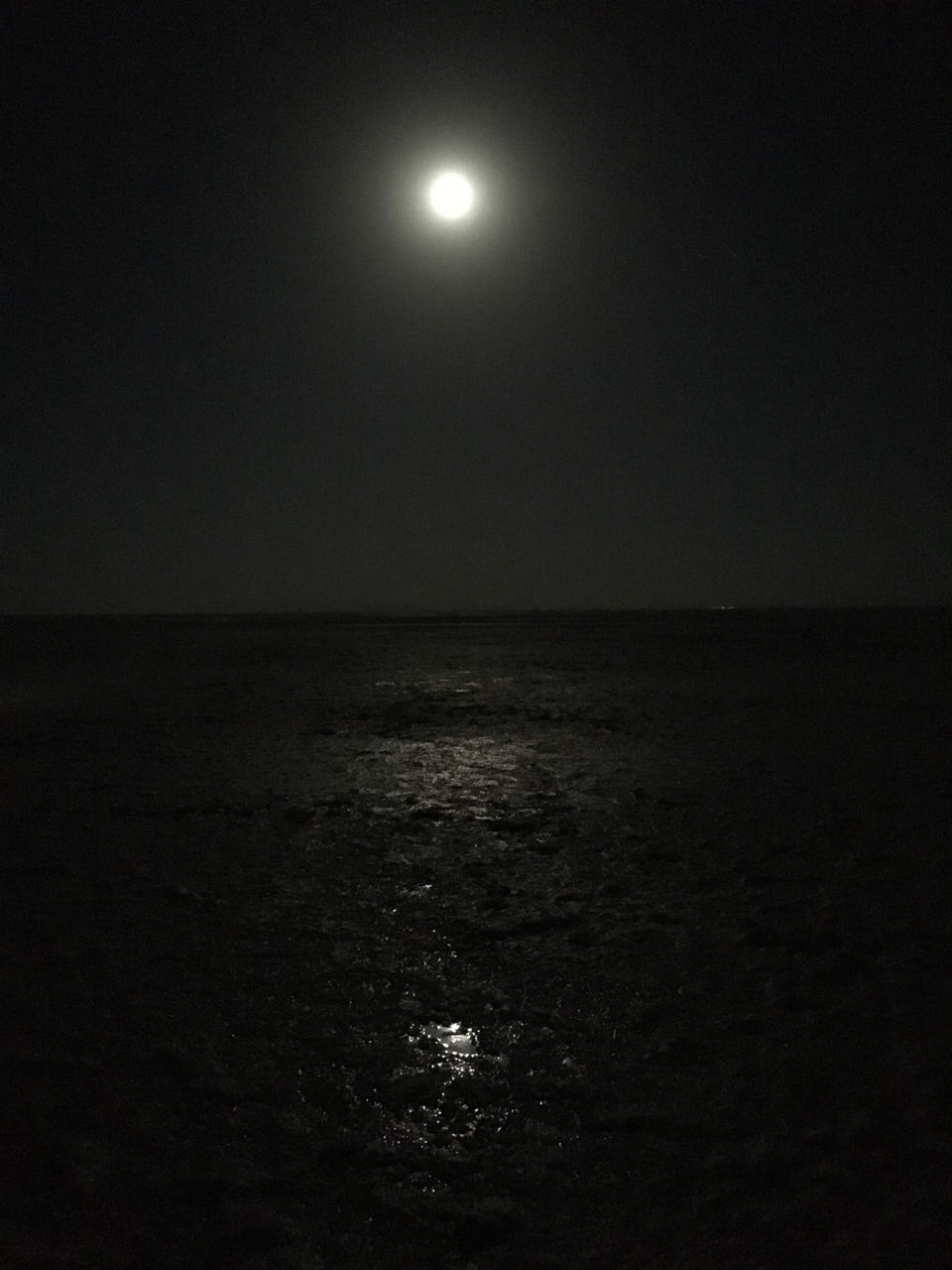 Photo of White Desert, Rann of Kutch, Kutch, Gujarat, India by Richa Gandhi