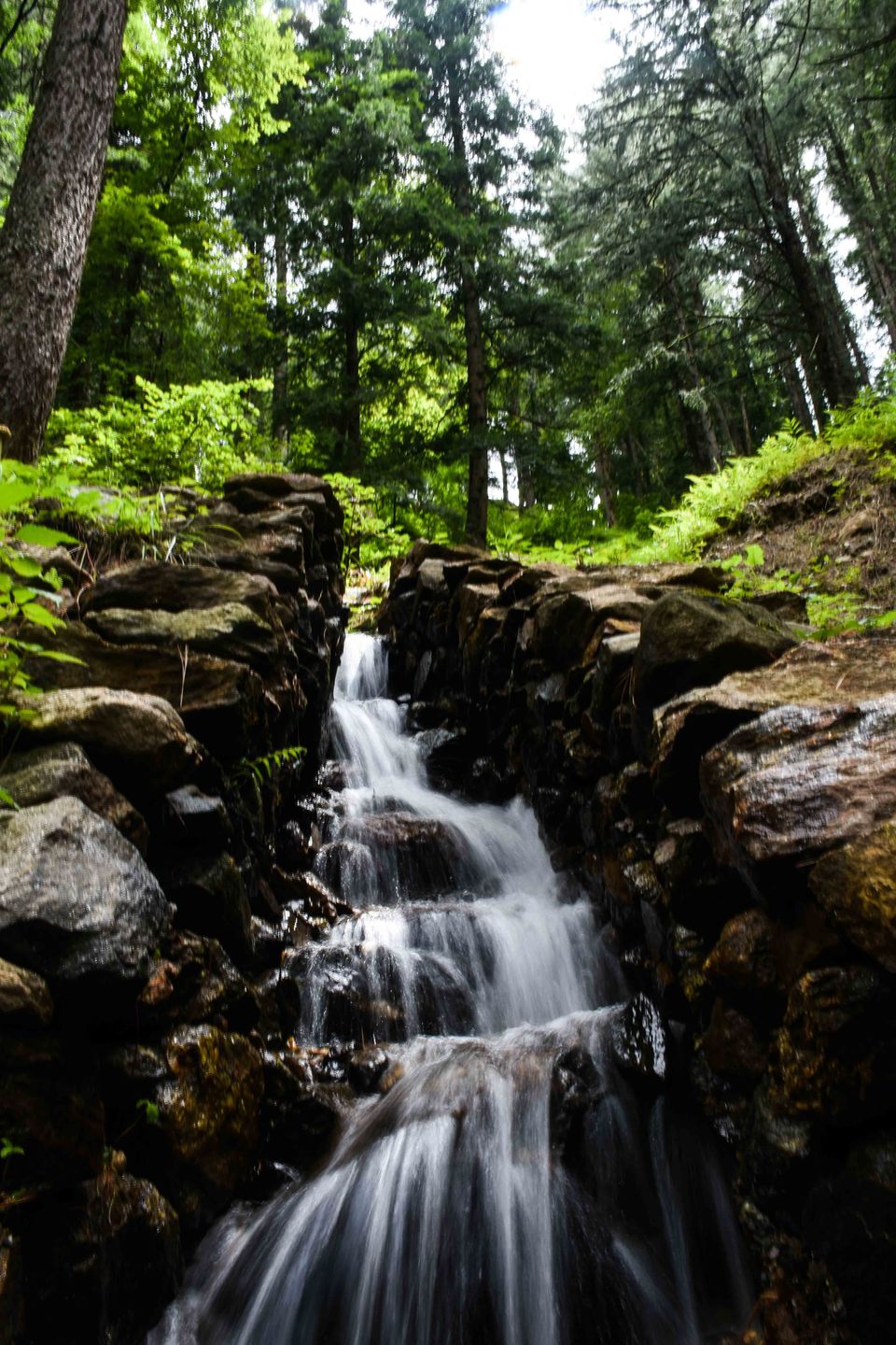 Photo of Kheerganga - Hike to heaven in Monsoon by Richa Gandhi