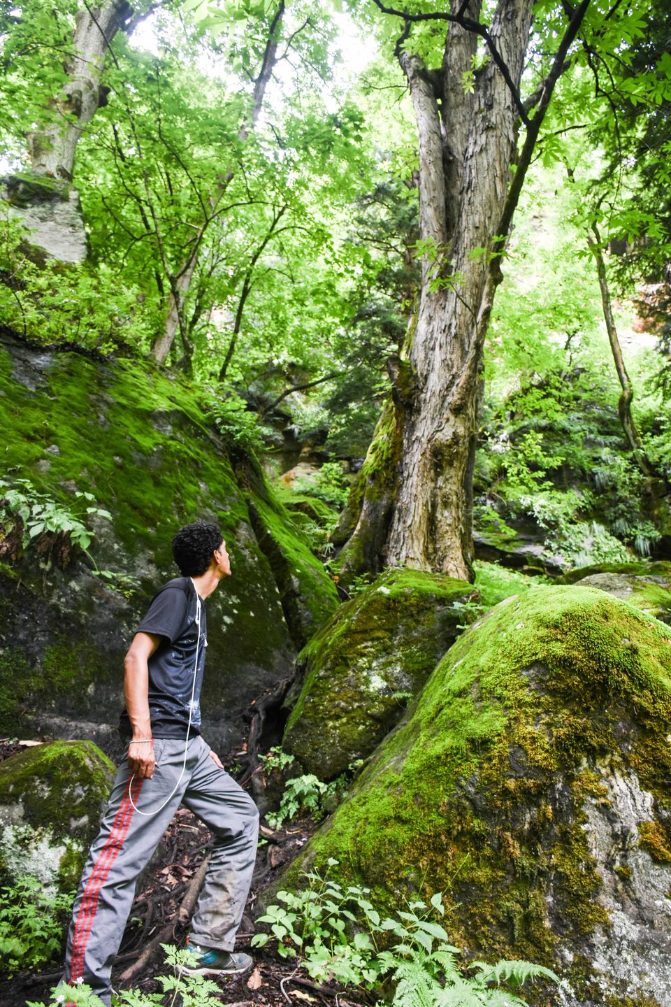 Photo of Kheerganga - Hike to heaven in Monsoon by Richa Gandhi