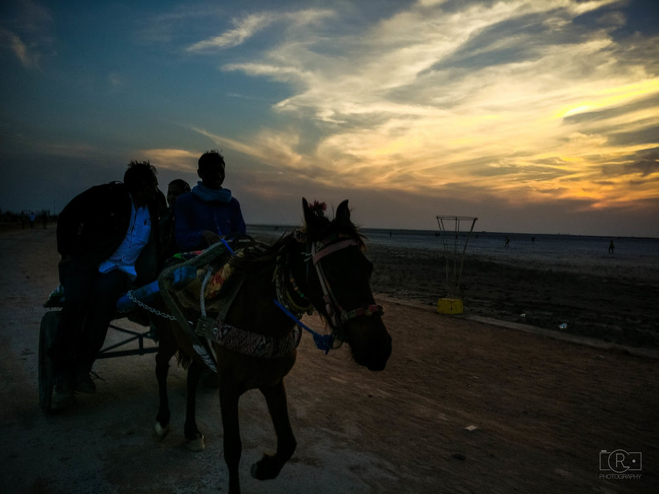 Photo of Girls Road Trip to Rann of Kutch by Richa Gandhi