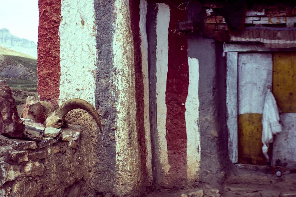 Photo of Tashigong, Himachal Pradesh, India by Richa Gandhi