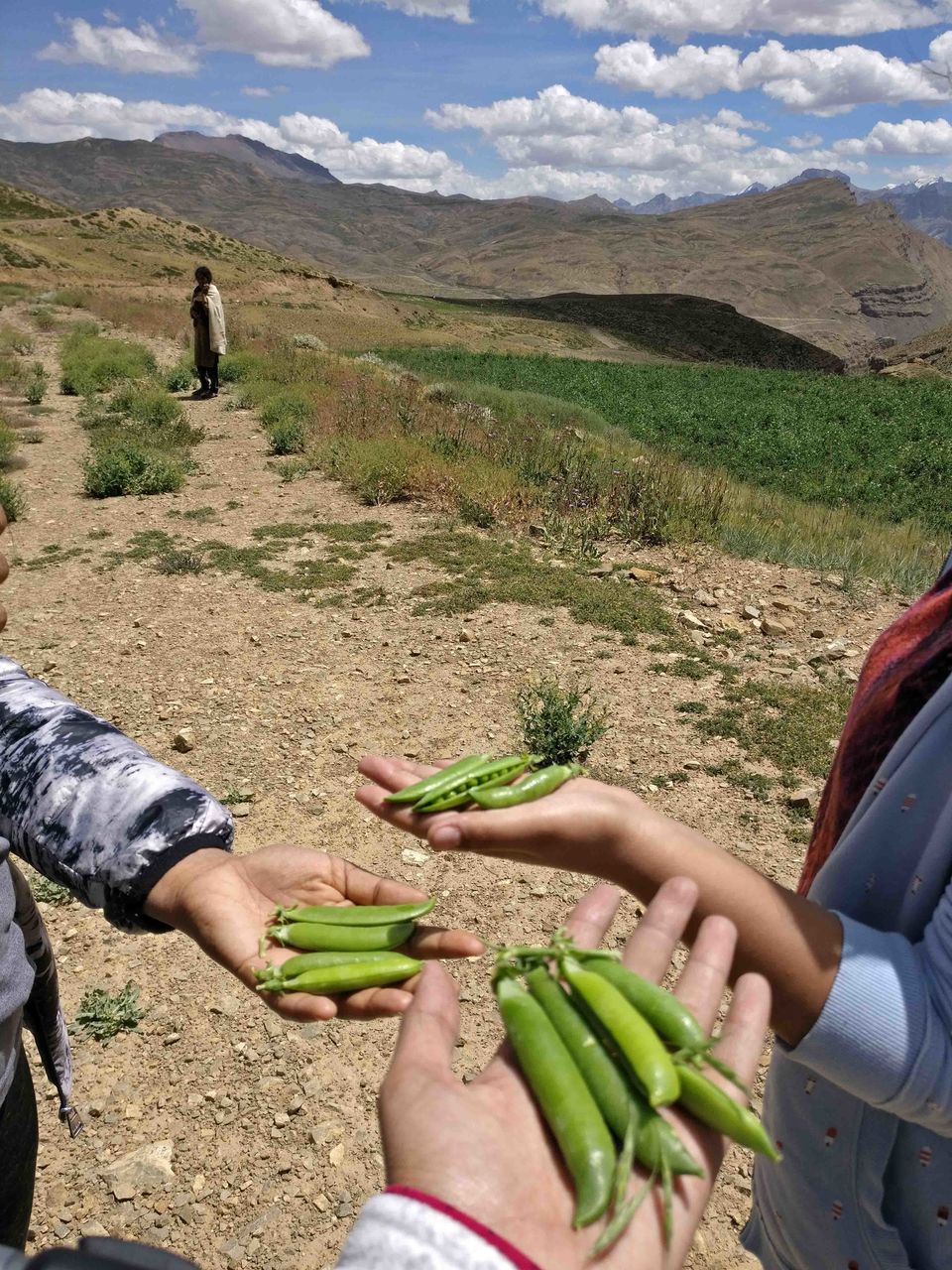 Photo of Bachelorette Trip to Spiti, Cold Mountain Desert by Richa Gandhi