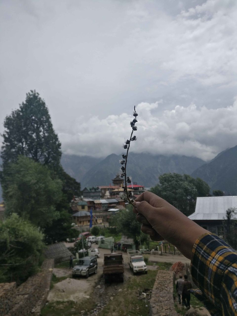 Photo of Kalpa : escape from hustle of city life by Richa Gandhi