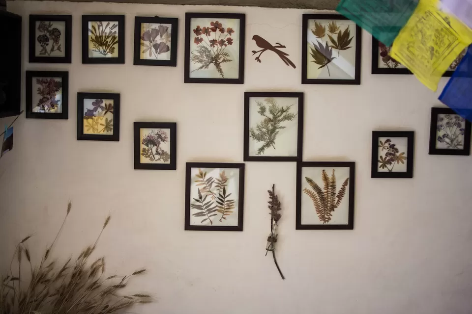 Photo of Kaza and Key Monastery : How home feels like by Richa Gandhi