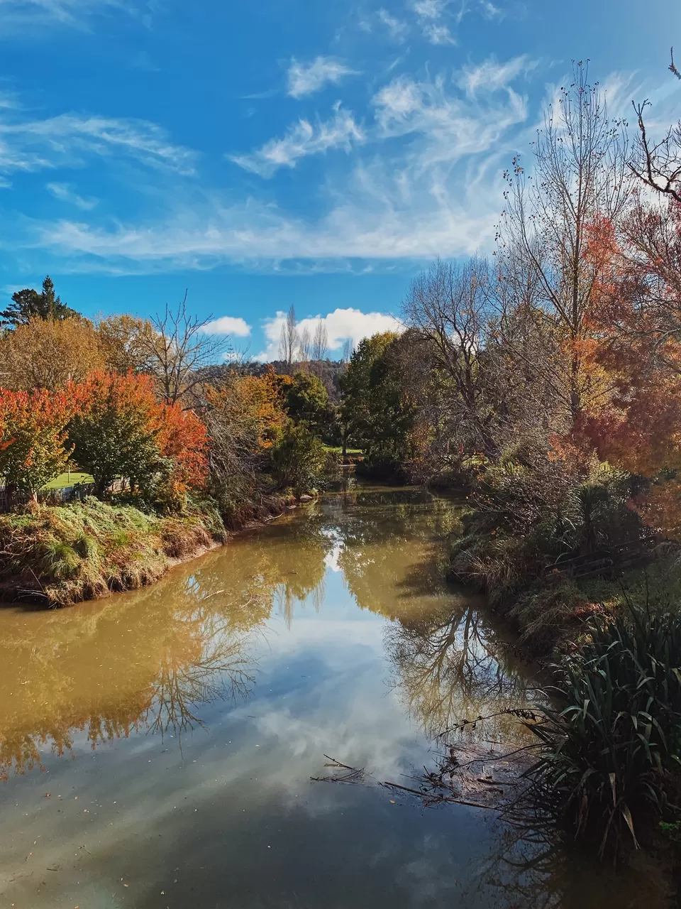 Photo of Must See Places in Auckland Google forgot to tell you about by Richa Gandhi