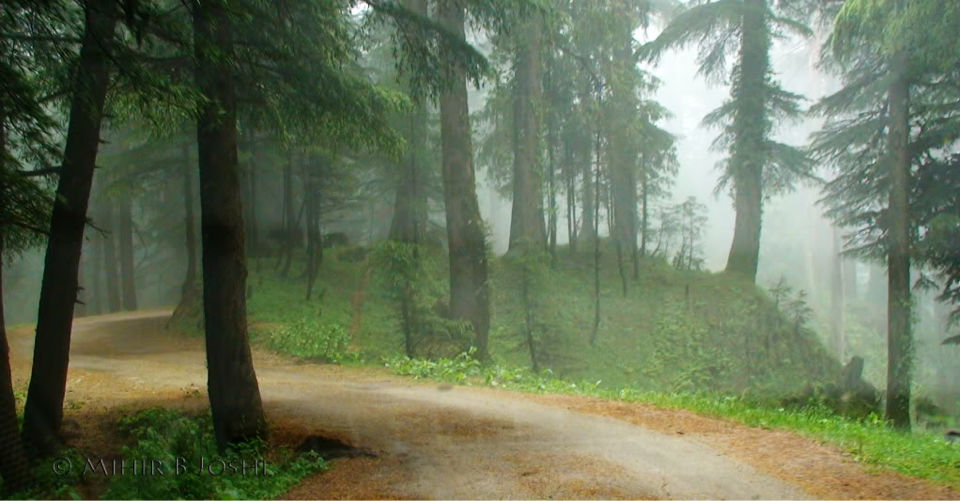Photo of Offbeat Destinations In Himachal One Shouldn't Miss! 1/25 by What is in a name?