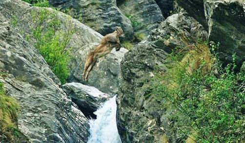 Photo of Offbeat Destinations In Himachal One Shouldn't Miss! 15/25 by What is in a name?