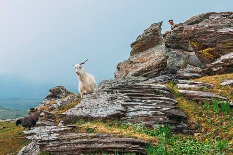 Photo of Offbeat Destinations In Himachal One Shouldn't Miss! 12/25 by What is in a name?