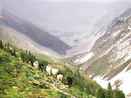 Photo of Offbeat Destinations In Himachal One Shouldn't Miss! 14/25 by What is in a name?