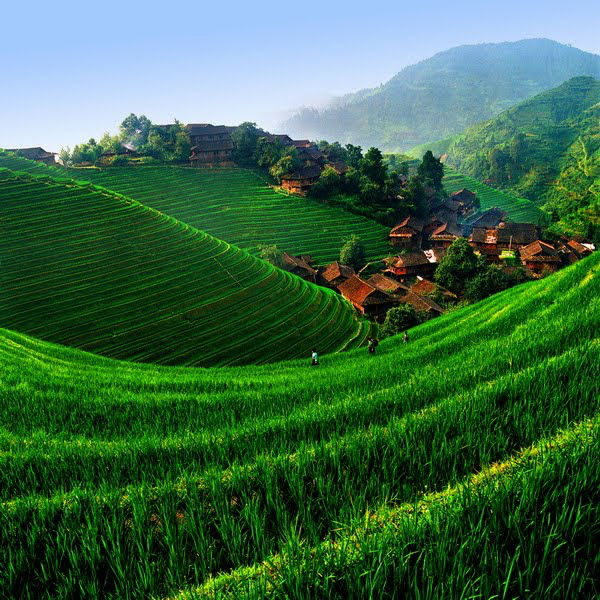 Photo of Why Himachal? - A Complete Nature's Drive by Anjali sahrawat