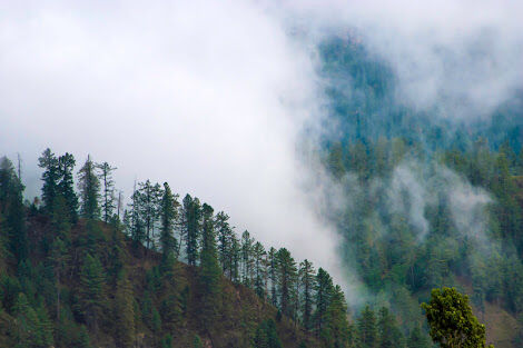 Photo of Why Himachal? - A Complete Nature's Drive by Anjali sahrawat