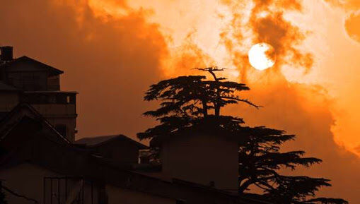 Photo of Why Himachal? - A Complete Nature's Drive by Anjali sahrawat